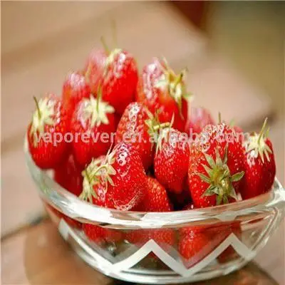 Концентрат жидких ароматизаторов вейпа добавляется в pg vg base для приготовления ejuice