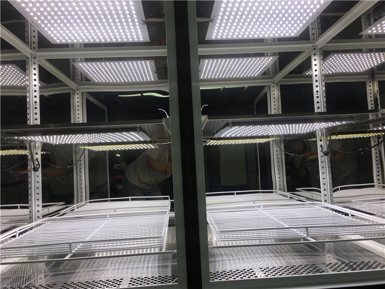 160l Plant Tissue Culture Laboratory Equipment With Led Buy Tissue