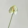 Bianco Verde#1