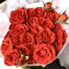 Bouquet de bulles thème rouge, 30 tiges, conservateur de fraîcheur