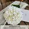 Fresh Hydrangea - White