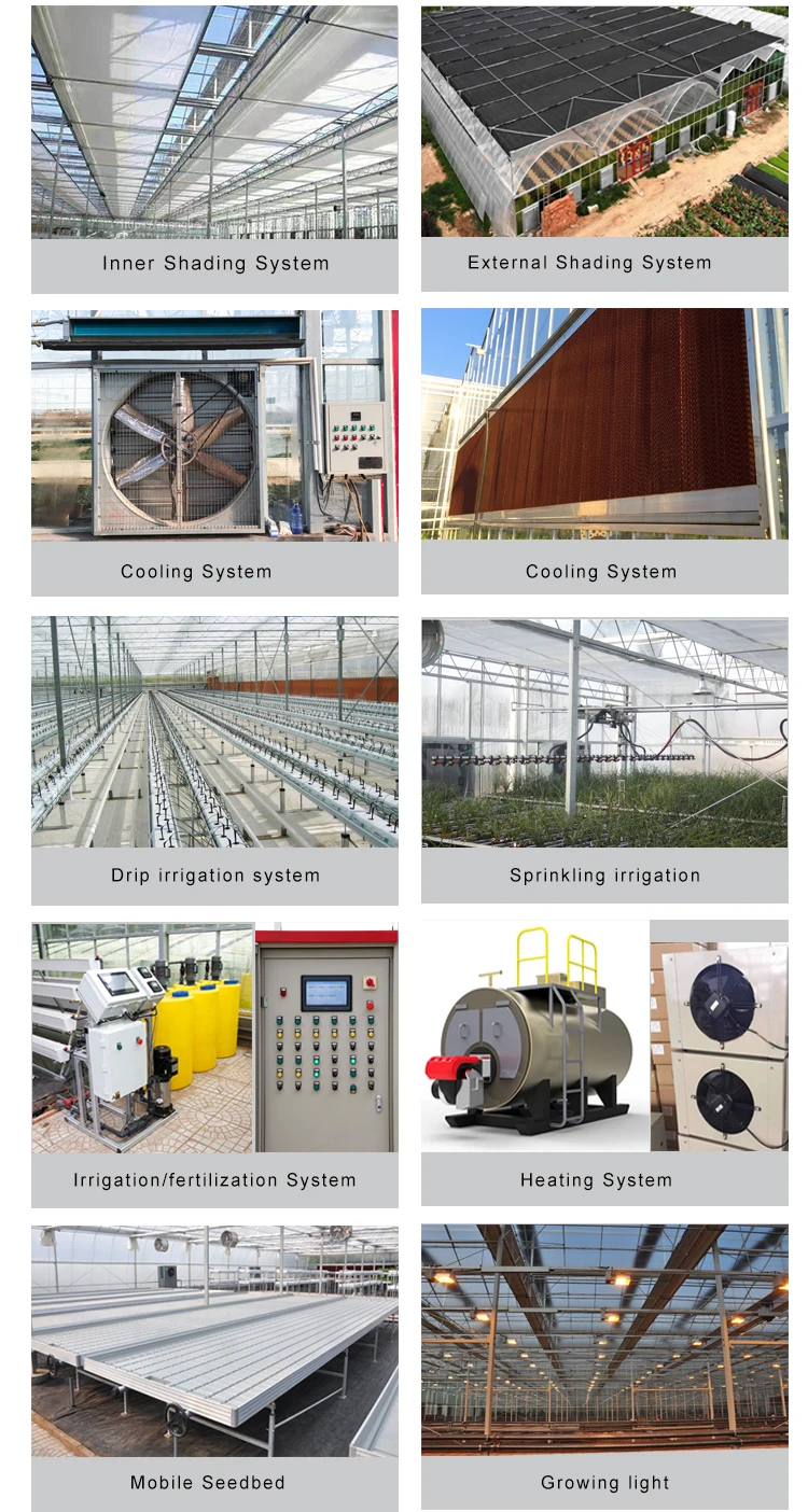 solar energy greenhouse