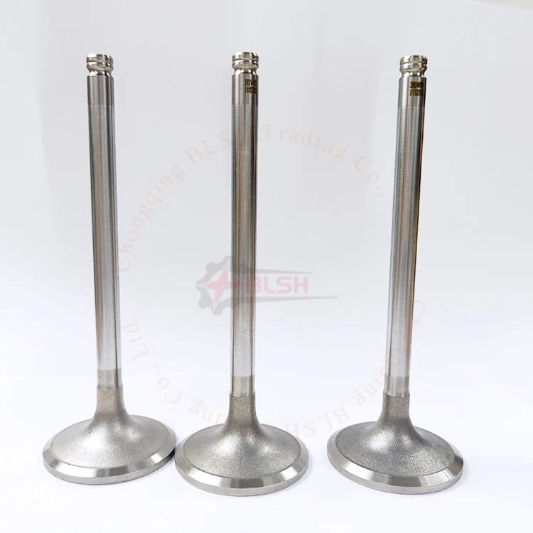 BLSH Customized Various Intake Valves Exhaust Valves for MAN16/24 YANMAR S165L M200L N18 N330