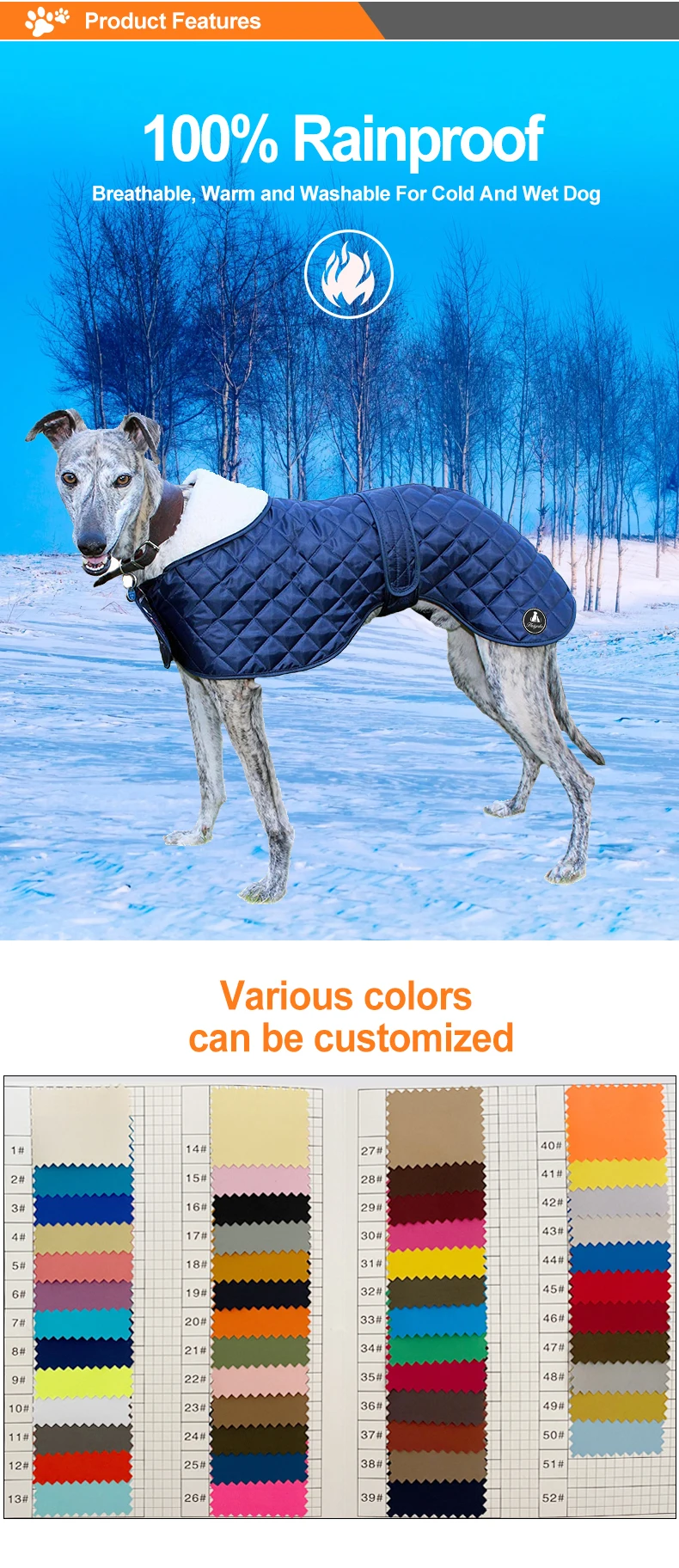 Manufacturer Wholesale Multicolors Coat Whippets Italian Greyhounds