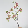 Ramas rosadas y lloronas de la flor sonriente.