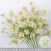 Champagne-colored six-headed blue star flower stem