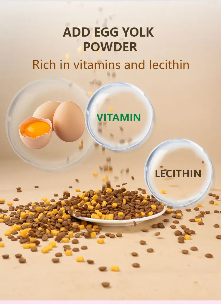 China Pet Food Oem Multitaste Multishape High Protein Content Adult