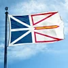 Bandera de Terranova y Labrador