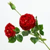 สีแดง