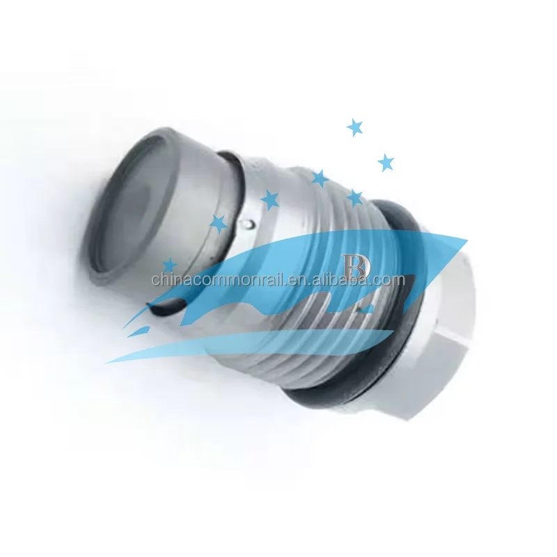 Pressure Relief Valve 1110010015 Fuel Pressure Limiting Valve Fuel ...