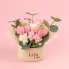 Peach Delight Peach Flower Pot (life pot)