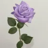 สีม่วง