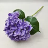 สีม่วง