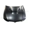 Iron2009-2012