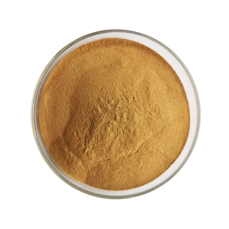 Natural 10:1 Shatavari Extract  Asparagus Racemosus Extract Powder