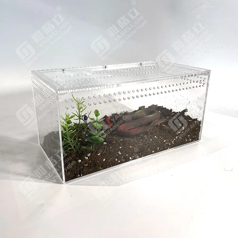特注　アクリル製飼育ケージ 中型 透明 カスタム長方形クリアアクリル爬虫類ケージタランチュラ用ハウス