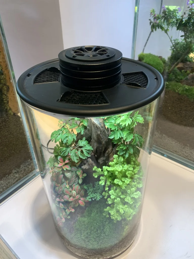 Small Aquarium Ecological Cylinder With Plants Natural Stone Terrarium