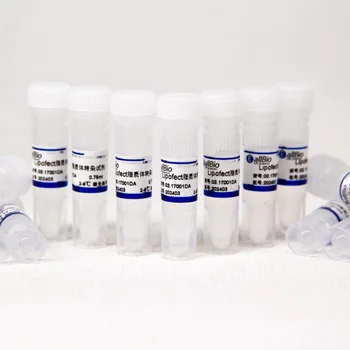 Lipofect High Efficient Transfection Reagent 03.17001DA