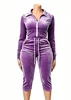 Viola