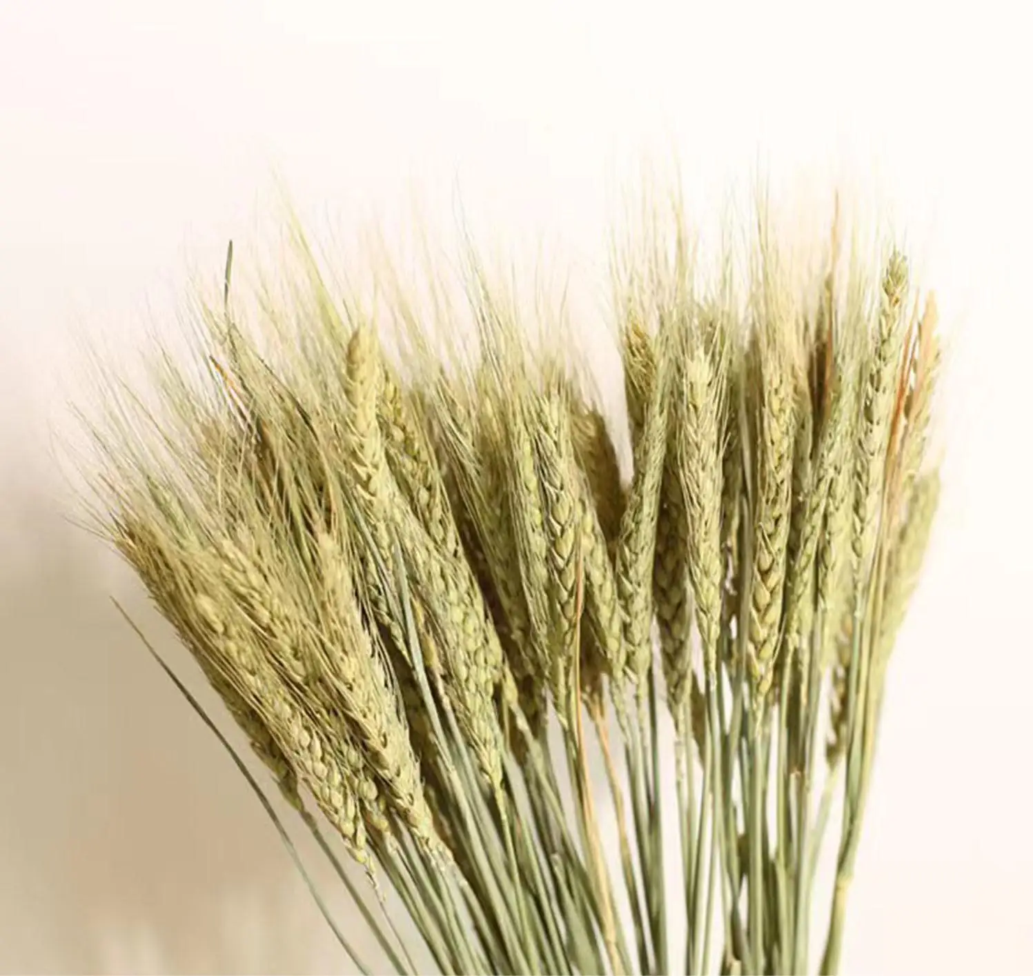 DIY Craft Home Table Artificial Dried Wheat Sheaves Natural Wheat Stalks Bundle Fall Arrangement Wedding Decor