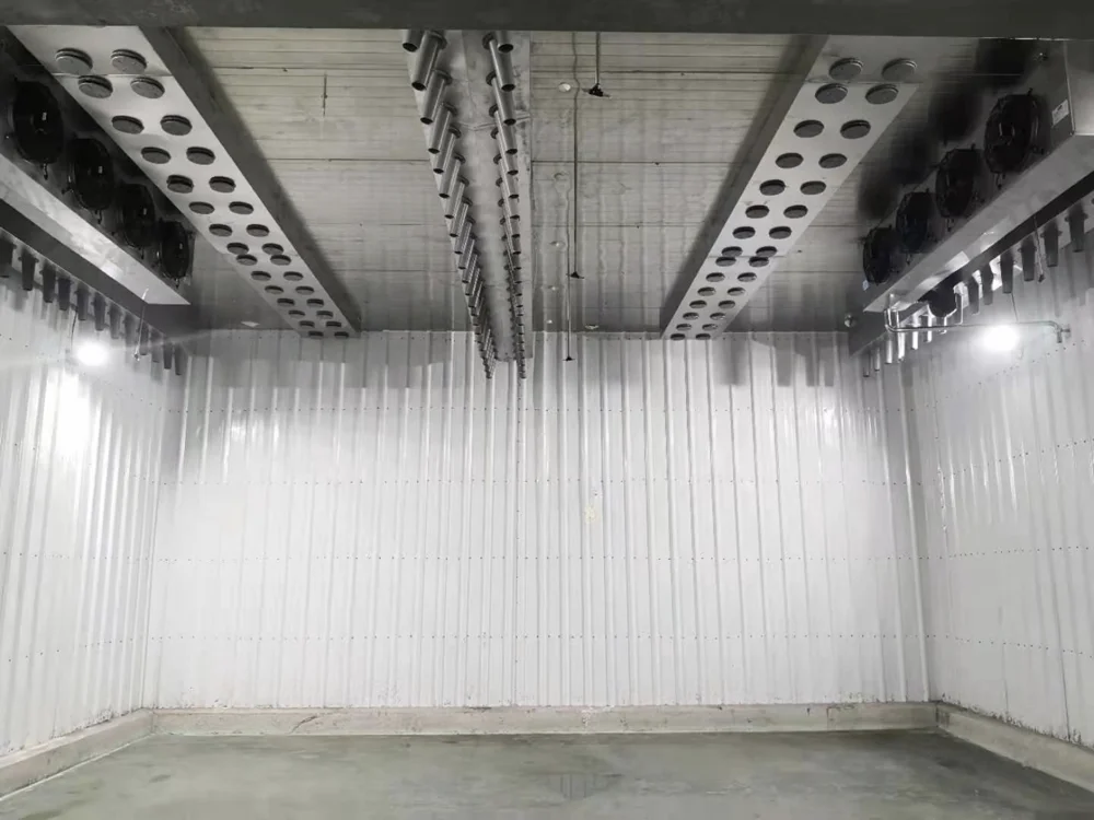 Customized Industrial High Humidity Low Temperature Thawing Machine for Core Meat Processing Lines