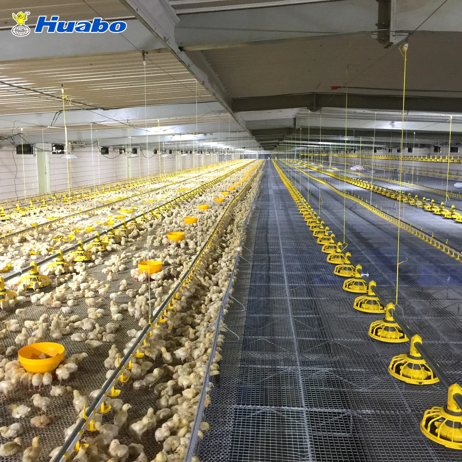 Other Animal Husbandry Equipment Poultry Farming Automatic Chicken Feeding  - Buy Poultry Farming Equipment Automatic Chicken,Poultry Farming Equipment  Automatic,Poultry Farming Feeding Product on 