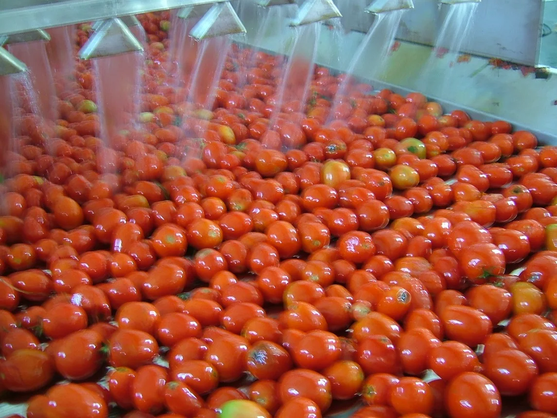 Bouteilles de 5 kg 300 ml de ketchup pour mini sauce tomate Chaîne