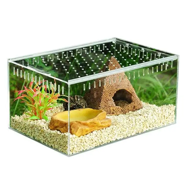 Transparent Acrylic Cage, Acrylic Insect and Reptile Breeding Cage ...