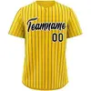 20.yellowblack Stripe