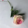 สีเหลืองและสีชมพู