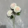 Pink core white