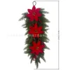 Three-forked Cedar (Red-berry Poinsettia)