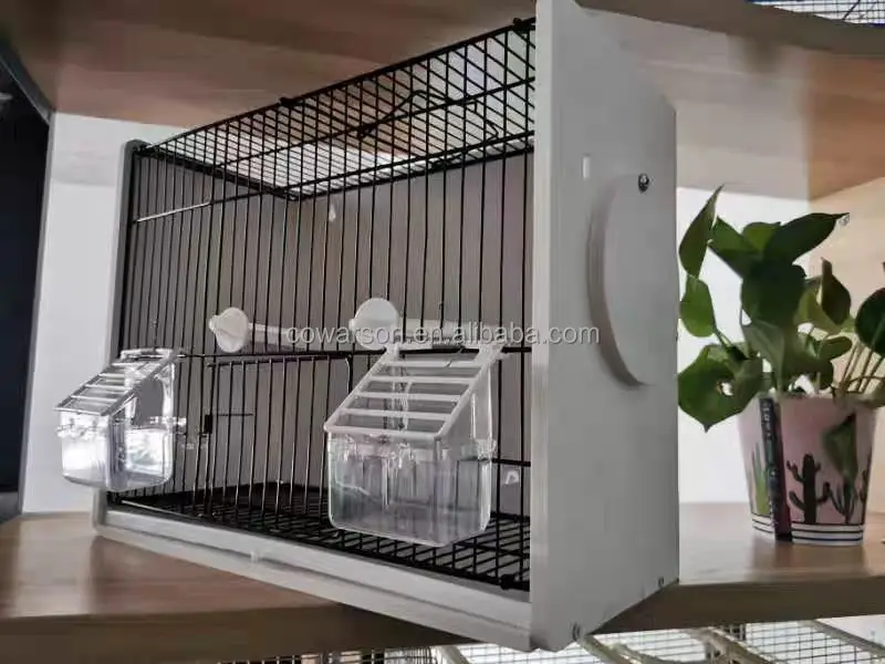 2024 New Aviary Outdoor Bird Cage - Durable & Easy to Assemble