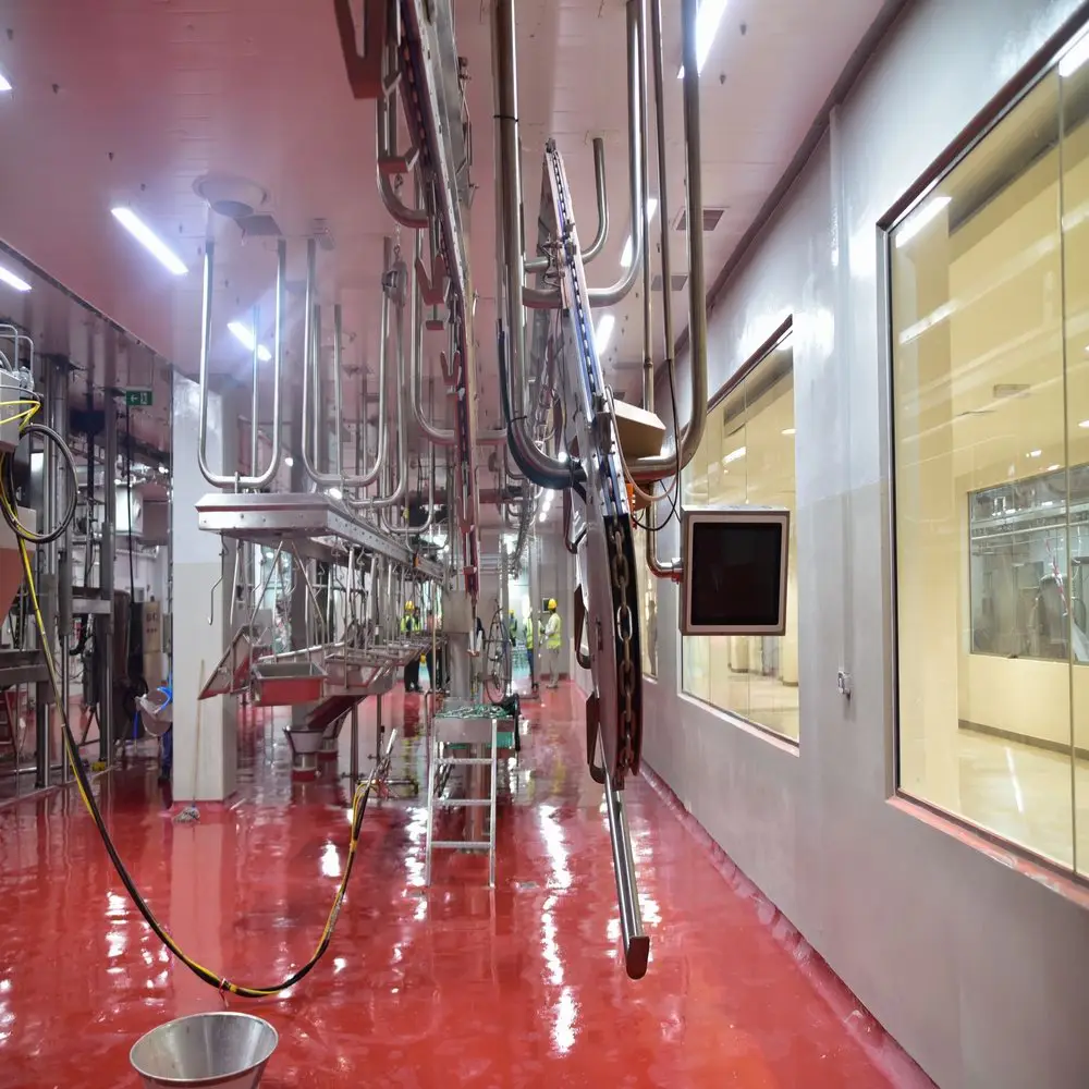 Complete halal mutton slaughtering equipment capable of processing 150 sheep per day, with cold storage, suitable for mutton slaughterhouses