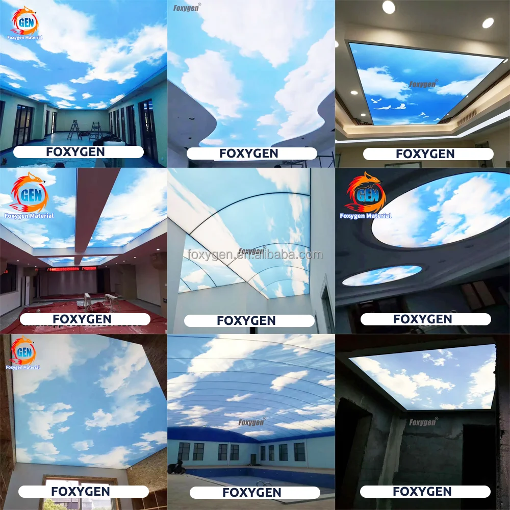 width up to 59 m uv printed pvc stretch ceiling film-26