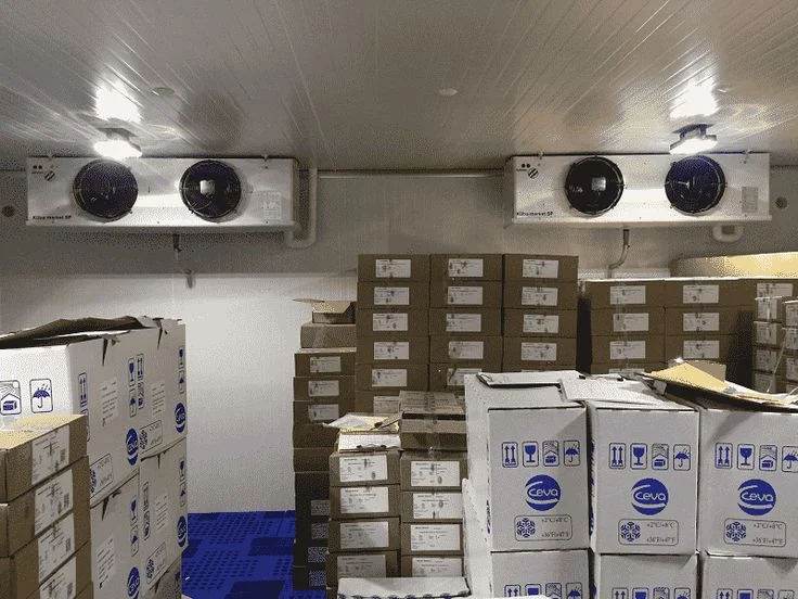 Blast Freezer, 3x2, 380 V, > 1000W - detail 14