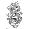 Dragon-01