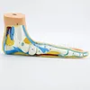 Un pied plat - version manuscrite