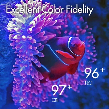 2700k-8500k Color Adjust 2900mAh 96 CRI 97TLCI APP Control for Sony Canon DSLR Flash Godox WL8P Waterproof LED Video Light product image