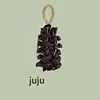 Juju-L