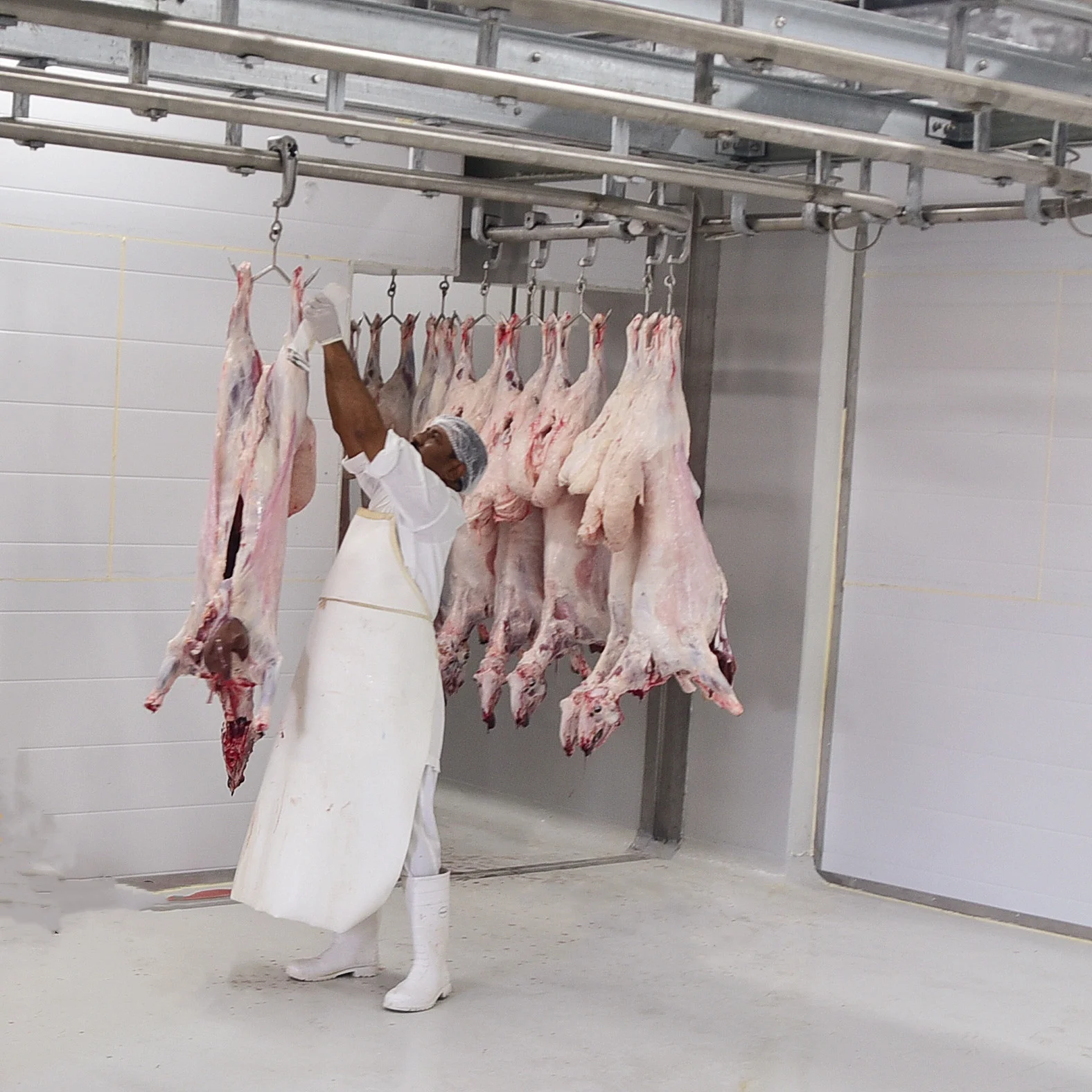 High efficiency lamb slaughtering plant machine lamb slaughtering process