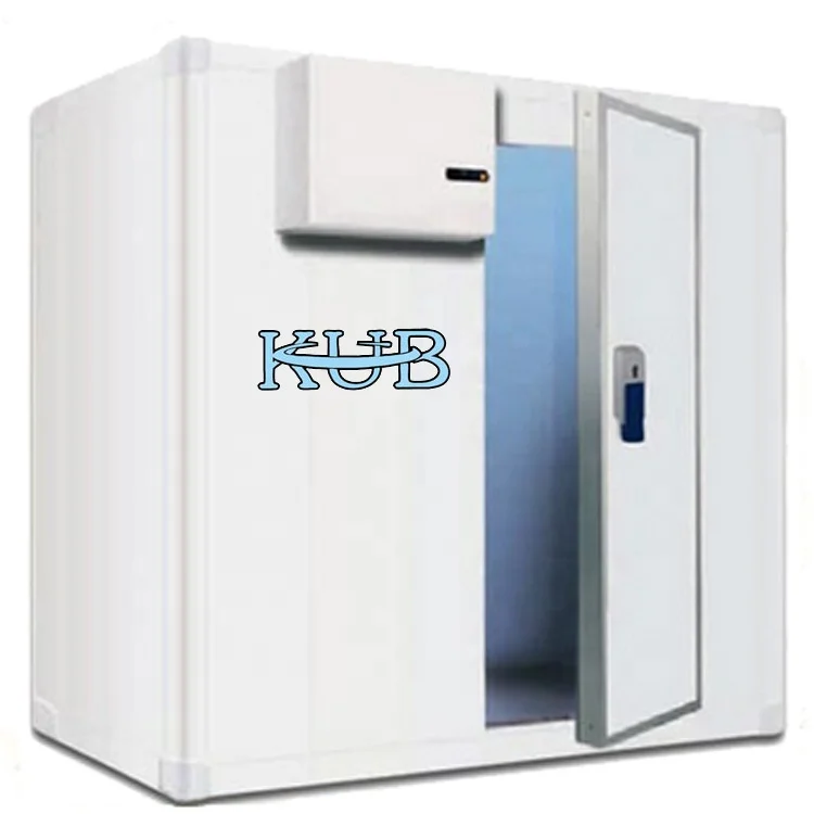 Minus 18 Degrees Centigrade 13 Cubic Meters Frozen Cold Room for Meat and Fish Storage