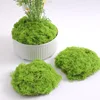 1000g de musgo filamentoso verde claro (a granel)