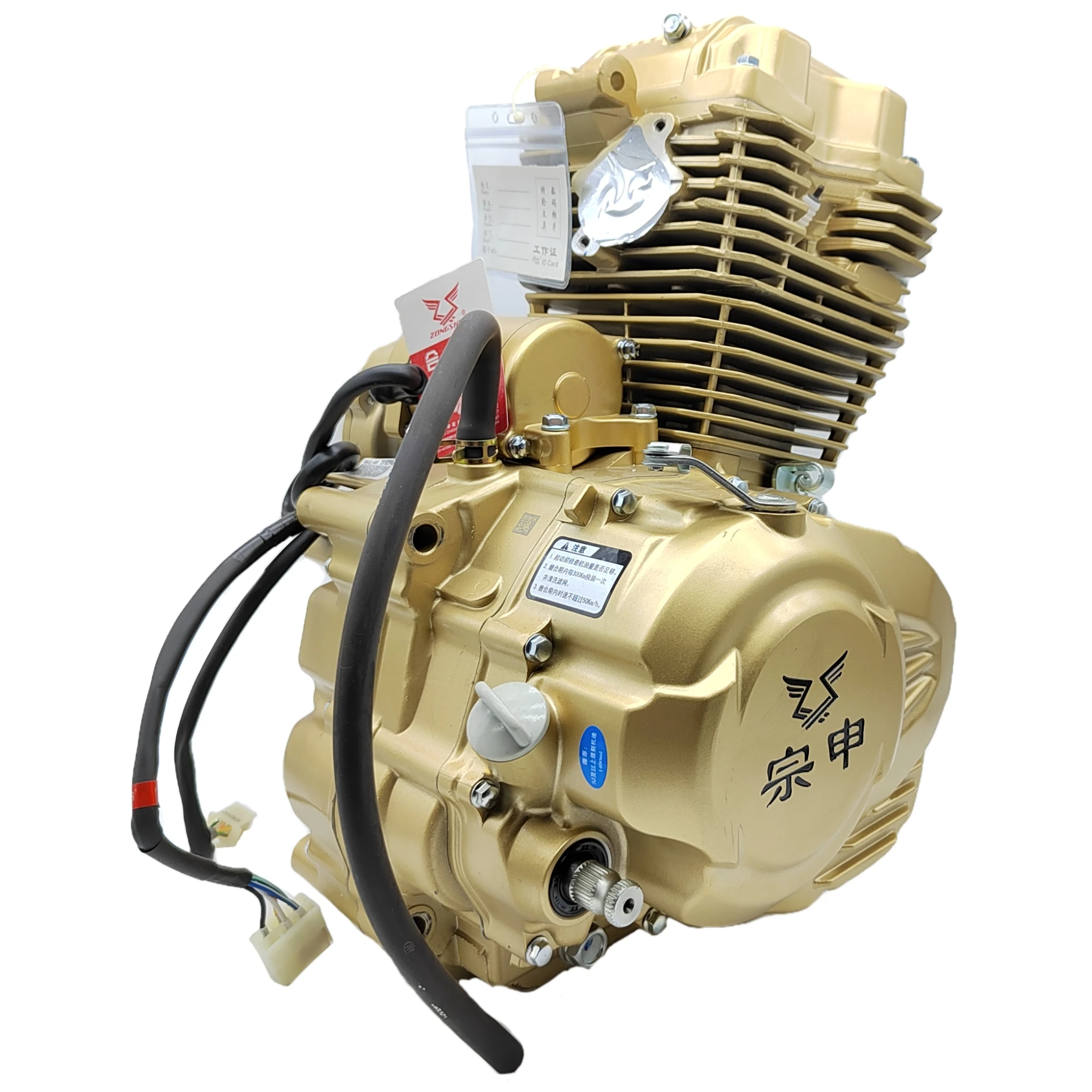 Zongshen 200cc Air-Cooling Tricycle Motor with Electric Kick Start