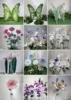 Composizione floreale 13
