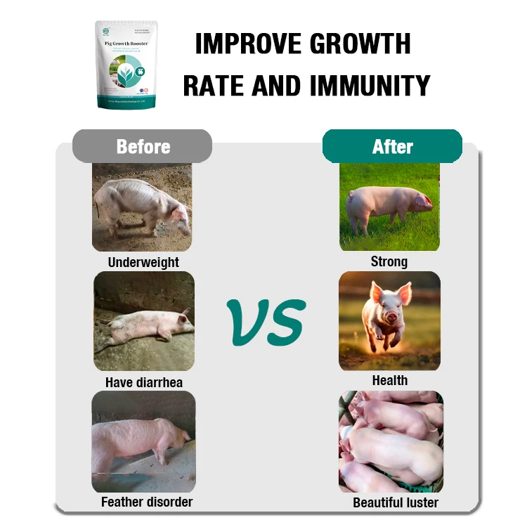 Pig Additives Alibaba.com: CE, BV, ISO certified pig feed additives, swine growth ...