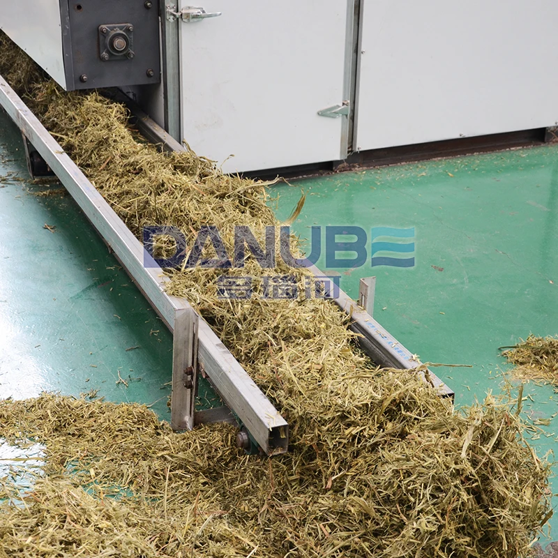 Large Scale Continuous Mesh Belt Dryer for Drying Grass Moringa Leaf Vanilla Machine for sale