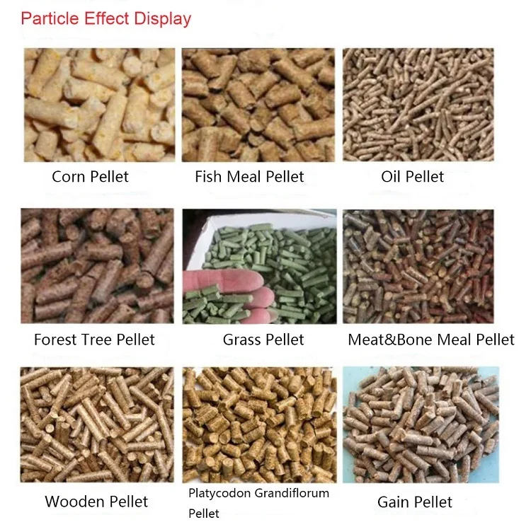 2021 hot selling wood pellet machinery and feed pellet machinery for sale