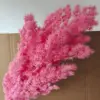 Dark pink