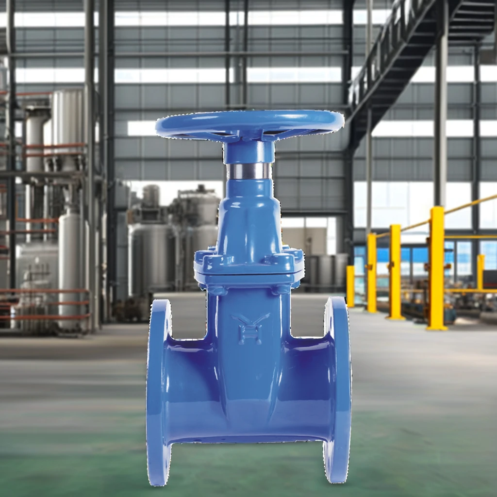 DN25 DN80 DN150 DN250 PN16 Manual Power Ductile Cast Iron Flanged Sluice Gate Valve Water Handwheel Operated General Application factory